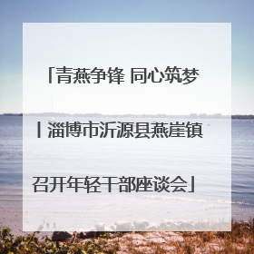 青燕争锋 同心筑梦丨淄博市沂源县燕崖镇召开年轻干部座谈会