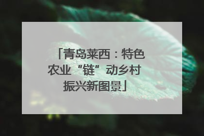 青岛莱西：特色农业“链”动乡村振兴新图景