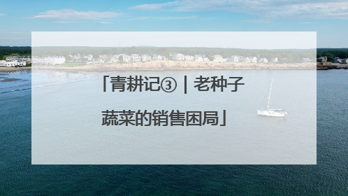 青耕记③｜老种子蔬菜的销售困局