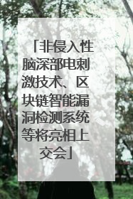 非侵入性脑深部电刺激技术、区块链智能漏洞检测系统等将亮相上交会
