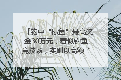 钓中“标鱼”最高奖金30万元，看似钓鱼竞技场，实则以高额“回报”作“饵”……｜今晚九点半