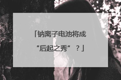 钠离子电池将成“后起之秀”？