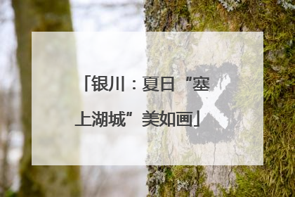 银川：夏日“塞上湖城”美如画