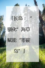 长岛：“驯化”海草赋能“零碳岛”