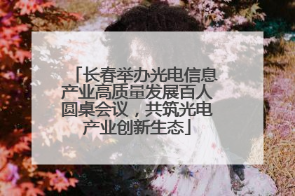 长春举办光电信息产业高质量发展百人圆桌会议，共筑光电产业创新生态