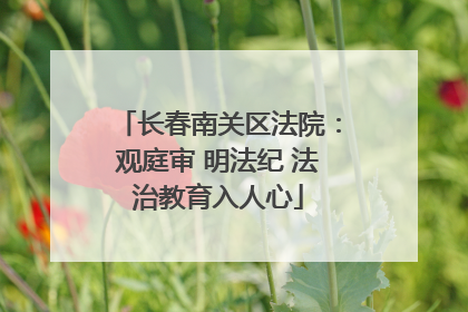 长春南关区法院：观庭审 明法纪 法治教育入人心