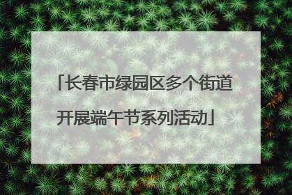 长春市绿园区多个街道开展端午节系列活动