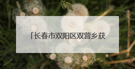 长春市双阳区双营乡获评“全国文明村镇”