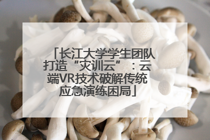 长江大学学生团队打造“灾训云”：云端VR技术破解传统应急演练困局