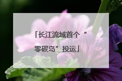 长江流域首个“零碳岛”投运