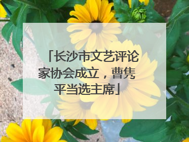 长沙市文艺评论家协会成立，曹隽平当选主席