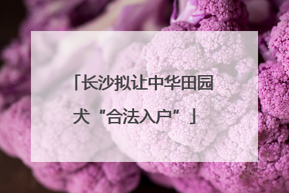 长沙拟让中华田园犬“合法入户”