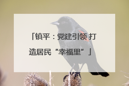 镇平：党建引领 打造居民“幸福里”