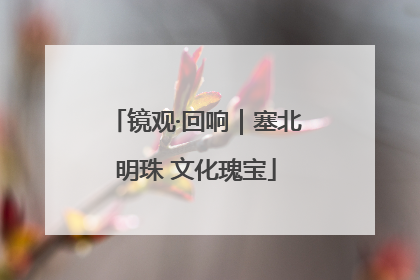 镜观·回响｜塞北明珠 文化瑰宝