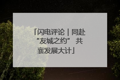 闪电评论｜同赴“友城之约” 共襄发展大计