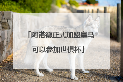 阿诺德正式加盟皇马 可以参加世俱杯