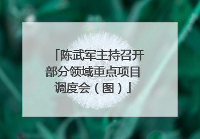 陈武军主持召开部分领域重点项目调度会（图）