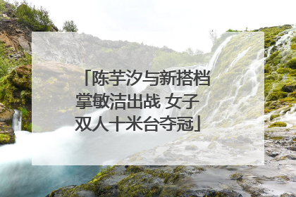 陈芋汐与新搭档掌敏洁出战 女子双人十米台夺冠
