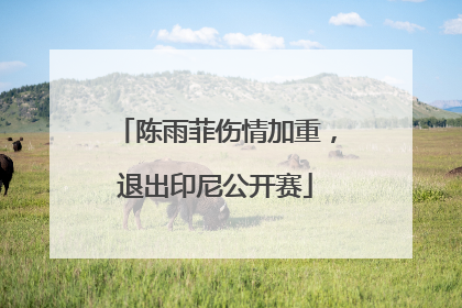 陈雨菲伤情加重，退出印尼公开赛