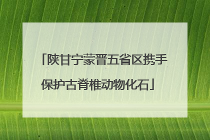 陕甘宁蒙晋五省区携手保护古脊椎动物化石
