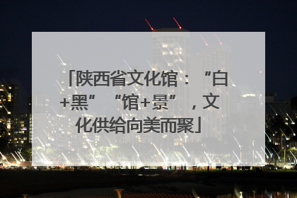 陕西省文化馆：“白+黑”“馆+景”，文化供给向美而聚