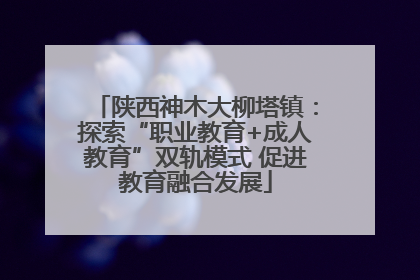 陕西神木大柳塔镇：探索“职业教育+成人教育”双轨模式 促进教育融合发展