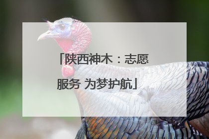 陕西神木：志愿服务 为梦护航