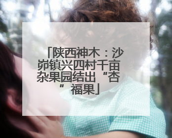 陕西神木：沙峁镇兴四村千亩杂果园结出“杏”福果