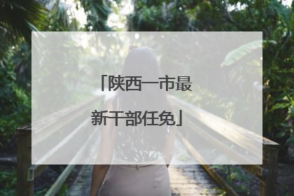 陕西一市最新干部任免