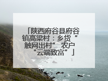 陕西府谷县府谷镇高梁村：乡货“触网出村” 农户“云端致富”
