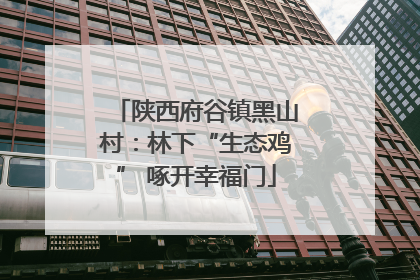 陕西府谷镇黑山村：林下“生态鸡” 啄开幸福门