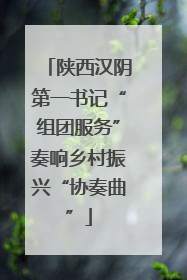 陕西汉阴第一书记“组团服务”奏响乡村振兴“协奏曲”