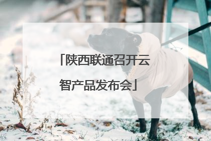 陕西联通召开云智产品发布会