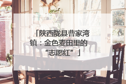陕西陇县曹家湾镇：金色麦田里的“志愿红”