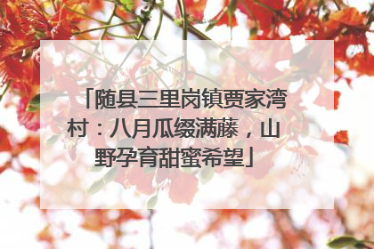 随县三里岗镇贾家湾村：八月瓜缀满藤，山野孕育甜蜜希望