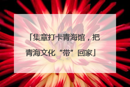 集章打卡青海馆，把青海文化“带”回家