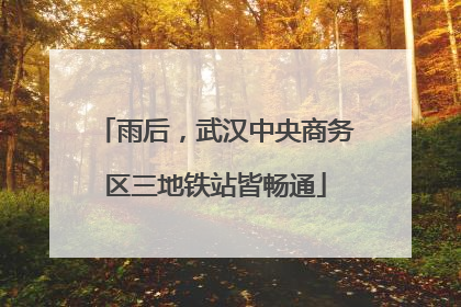 雨后，武汉中央商务区三地铁站皆畅通