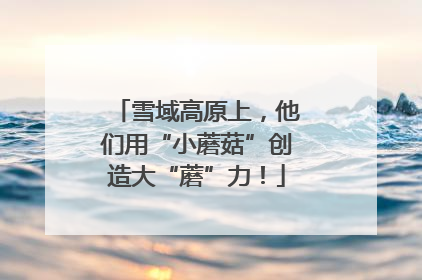 雪域高原上，他们用“小蘑菇”创造大“蘑”力！
