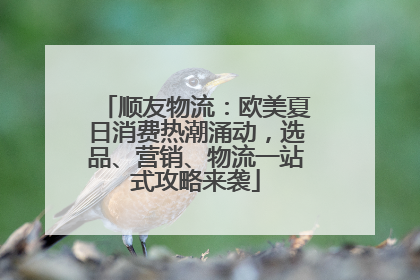 顺友物流：欧美夏日消费热潮涌动，选品、营销、物流一站式攻略来袭