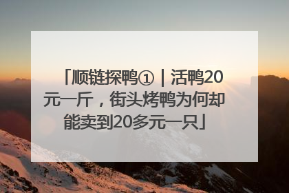 顺链探鸭①｜活鸭20元一斤，街头烤鸭为何却能卖到20多元一只