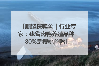 顺链探鸭④｜行业专家：我省肉鸭养殖品种80%是樱桃谷鸭