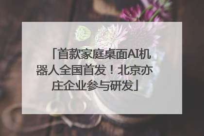 首款家庭桌面AI机器人全国首发！北京亦庄企业参与研发