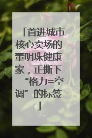 首进城市核心卖场的董明珠健康家，正撕下“格力=空调”的标签