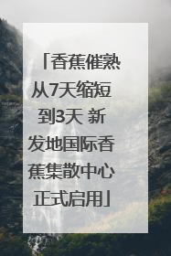 香蕉催熟从7天缩短到3天 新发地国际香蕉集散中心正式启用