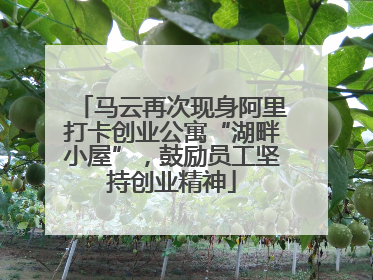 马云再次现身阿里打卡创业公寓“湖畔小屋”，鼓励员工坚持创业精神