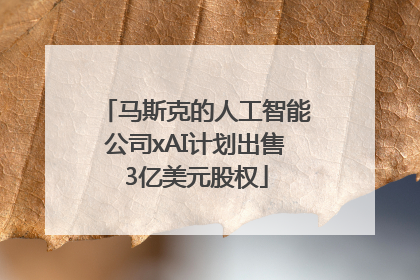 马斯克的人工智能公司xAI计划出售3亿美元股权