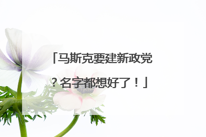 马斯克要建新政党？名字都想好了！