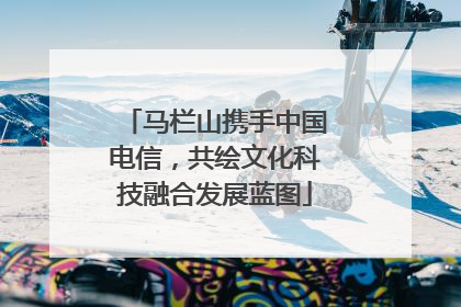 马栏山携手中国电信，共绘文化科技融合发展蓝图