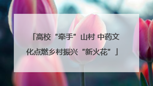 高校“牵手”山村 中药文化点燃乡村振兴“新火花”