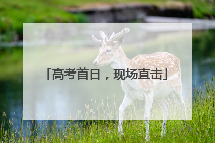 高考首日，现场直击